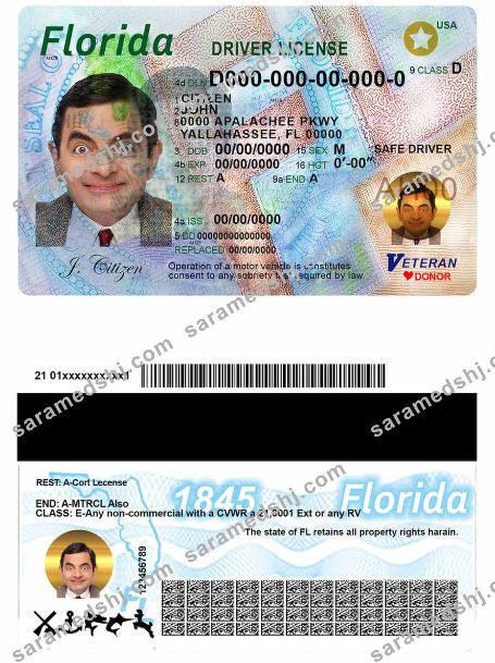 USA Florida driving license